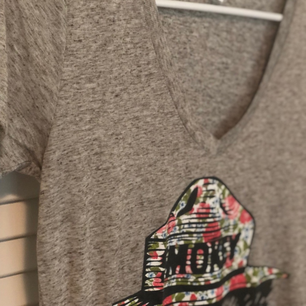 Tri Blend Heather Grey Smokey the Bear tee
